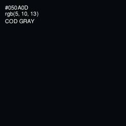 #050A0D - Cod Gray Color Image